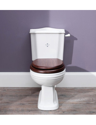Balasani toilet with fixed cistern