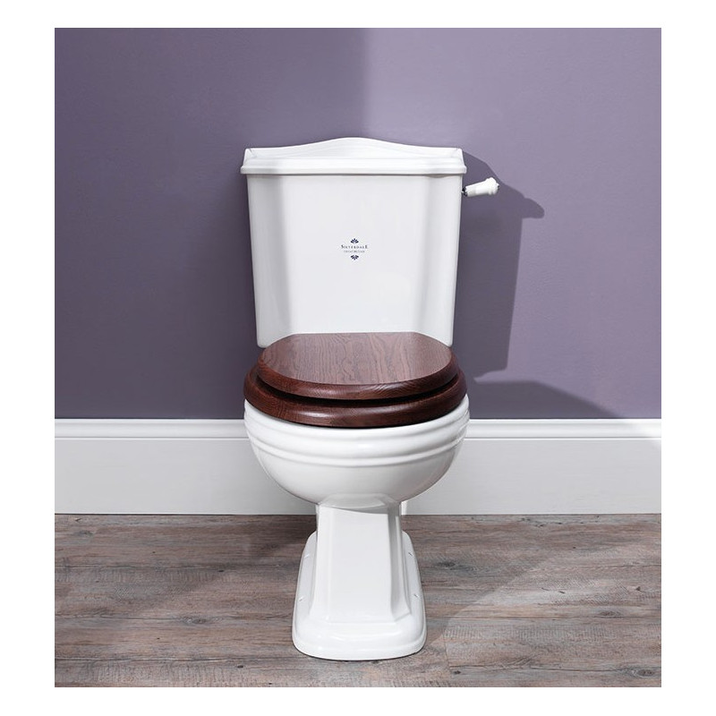 Balasani toilet with fixed cistern Balasani toilet with fixed cistern