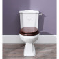 Balasani toilet with fixed cistern Balasani toilet with fixed cistern