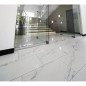 Tiles in Carrara marble 2 cm