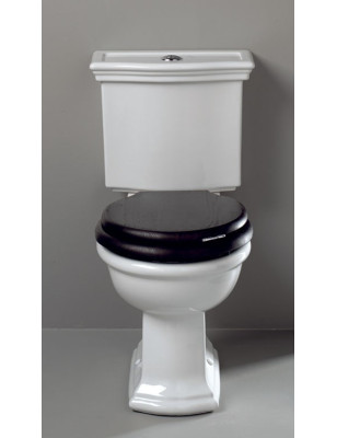 Bergier toilet with fixed cistern