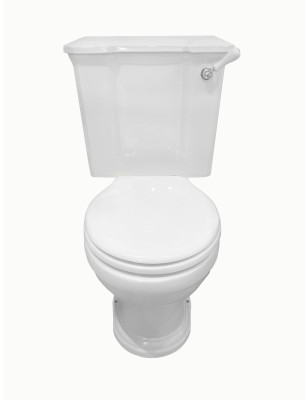 Sovereign toilet with fixed cistern