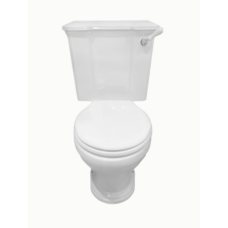 Sovereign toilet with fixed cistern