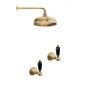 Shower In Solid Brass - 6021 Onyx wall mounted