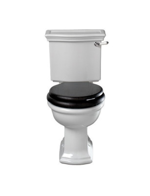 BERGIER toilet with fixed cistern