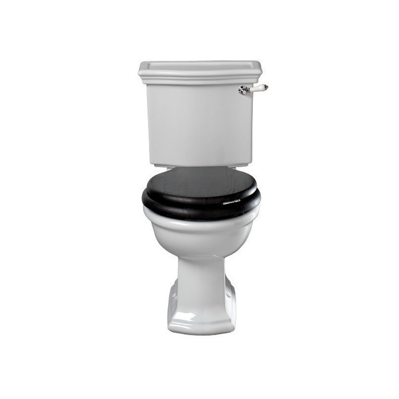 Vaso e cisterna monoblocco Bergier