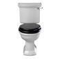 Bergier toilet med fast cisterne