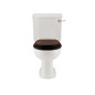 Victorian close coupled pan and cistern