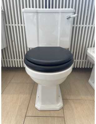 Chelsea toilette monoblock Modèle D'éxposition