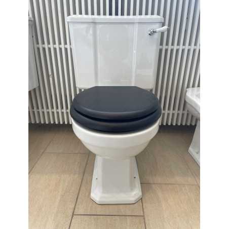 Chelsea toilette monoblock Modèle D'éxposition