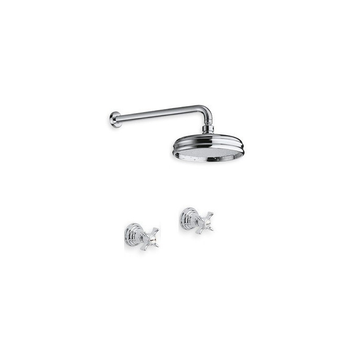 Solid brass fittings - 6021 Waterspring wall-mounted shower