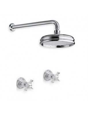 6021 Water spring faucet wall mount shower
