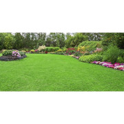 Robinets de jardin