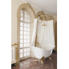Shower rail